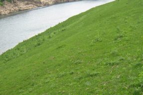 常見護坡樣式、特點及性能