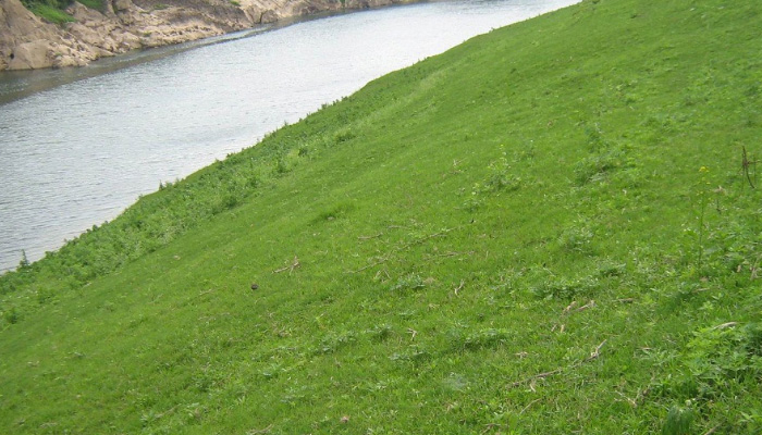 常見護(hù)坡樣式、特點(diǎn)及性能